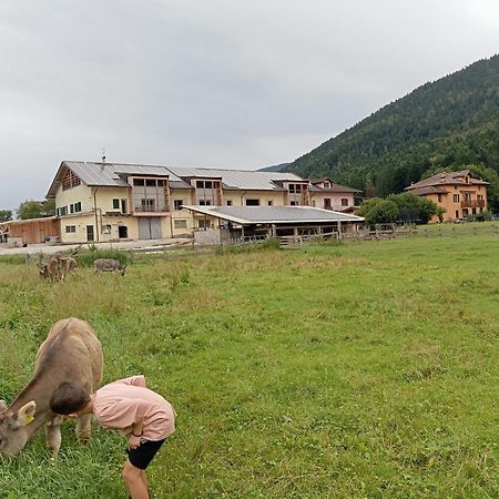 Maso Torbiera- Rural And Mountain Lodging Fiavè Eksteriør bilde