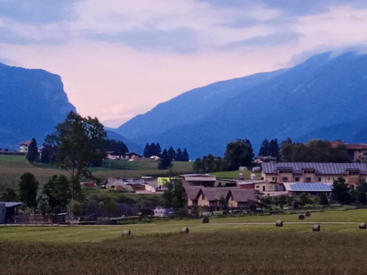 Maso Torbiera- Rural And Mountain Lodging Fiavè Eksteriør bilde