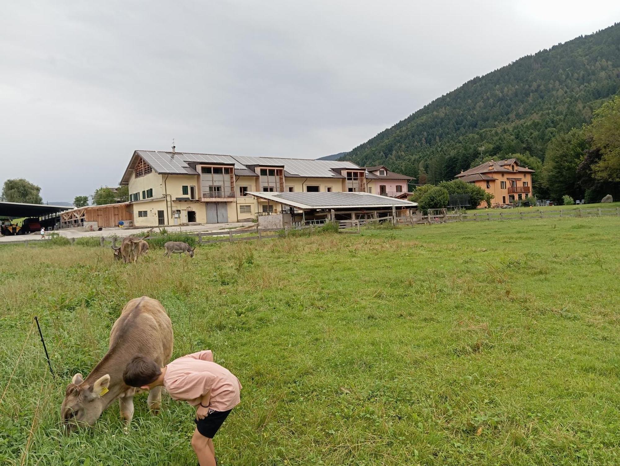 Maso Torbiera- Rural And Mountain Lodging Fiavè Eksteriør bilde