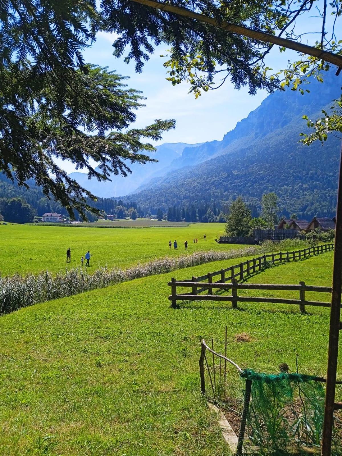 Maso Torbiera- Rural And Mountain Lodging Fiavè Eksteriør bilde